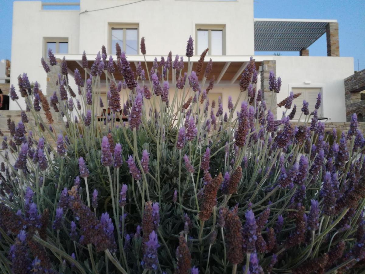 Nesaea Seafront House Villa Parasporos Exterior foto